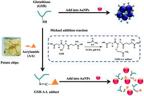 Graphical abstract: A colorimetric detection of acrylamide in potato chips based on nucleophile-initiated thiol–ene Michael addition