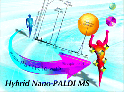 Graphical abstract: Nanoparticle-assisted laser desorption/ionization using sinapic acid-modified iron oxide nanoparticles for mass spectrometry analysis