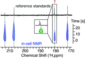 Graphical abstract: Spectroscopic approaches to resolving ambiguities of hyper-polarized NMR signals from different reaction cascades