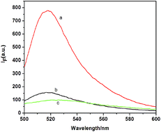 Graphical abstract: Fluorescence detection of telomerase activity in high concentration of cell lysates based on strand-displacement mediated recycling