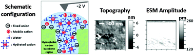 Graphical abstract: Visualization of ion transport in Nafion using electrochemical strain microscopy