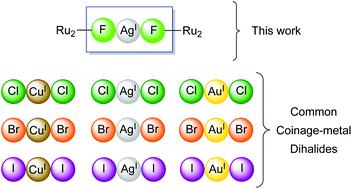 Graphical abstract: Capturing the missing [AgF2]− anion within an Ru2(iii/iii) dimeric dumbbell complex