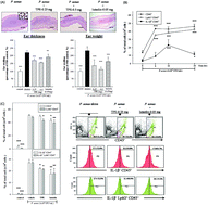 Graphical abstract: Inhibitory effects of wild bitter melon leaf extract on Propionibacterium acnes-induced skin inflammation in mice and cytokine production in vitro