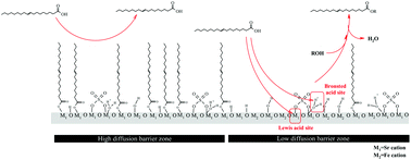 Graphical abstract: Characterization of an alkaline earth metal-doped solid superacid and its activity for the esterification of oleic acid with methanol