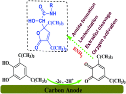 Graphical abstract: Electrode instead of catalyst and enzyme. A greener protocol for the synthesis of new 2-hydroxyacetamide derivatives containing a γ-lactone ring