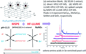 Graphical abstract: A dual extraction technique combined with HPLC-ICP-MS for speciation of seleno-amino acids in rice and yeast samples