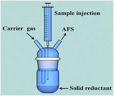 Graphical abstract: Chemical vapor generation from an ionic liquid using a solid reductant: determination of Hg, As and Sb by atomic fluorescence spectrometry