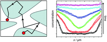 Graphical abstract: Diffusion in nanoporous materials: fundamental principles, insights and challenges