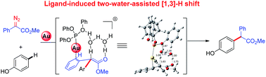 Graphical abstract: Origins of unique gold-catalysed chemo- and site-selective C–H functionalization of phenols with diazo compounds