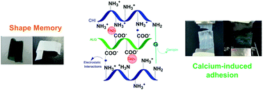 Graphical abstract: Polysaccharide-based freestanding multilayered membranes exhibiting reversible switchable properties