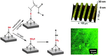 Graphical abstract: Versatile thiol-based reactions for micrometer- and nanometer-scale photopatterning of polymers and biomolecules