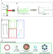Graphical abstract: Impact of phospholipids on plasmid packaging and toxicity of gemini nanoparticles