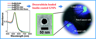 Graphical abstract: Inulin coated plasmonic gold nanoparticles as a tumor-selective tool for cancer therapy