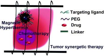 Graphical abstract: An integrated nanoplatform for theranostics via multifunctional core–shell ferrite nanocubes