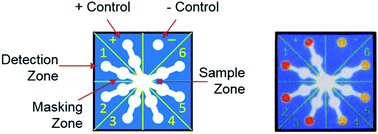 Graphical abstract: Paper-based microfluidics for experimental design: screening masking agents for simultaneous determination of Mn(ii) and Co(ii)