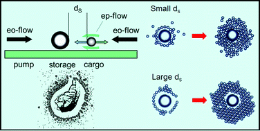 Graphical abstract: Controlled assembly of single colloidal crystals using electro-osmotic micro-pumps