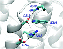 Graphical abstract: Structural and energetic study of cation–π–cation interactions in proteins