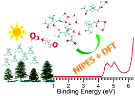 Graphical abstract: Structures and energetics of hydrated deprotonated cis-pinonic acid anion clusters and their atmospheric relevance