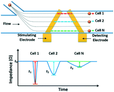 Graphical abstract: Impedance spectroscopy-based cell/particle position detection in microfluidic systems