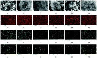 Graphical abstract: Artificial hydrolase based on carbon nanotubes conjugated with peptides
