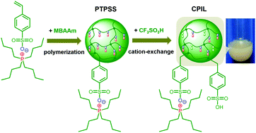 Graphical abstract: Synthesis and characterization of responsive poly(anionic liquid) microgels