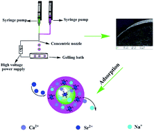 Graphical abstract: Core–shell zeolite@Alg–Ca particles for removal of strontium from aqueous solutions