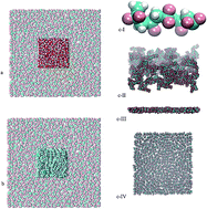 Graphical abstract: Molecular investigation of oil–water separation using PVDF polymer by molecular dynamic simulation