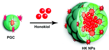 Graphical abstract: Honokiol nanoparticles stabilized by oligoethylene glycols codendrimer: in vitro and in vivo investigations