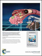 Graphical abstract: Back cover