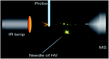 Graphical abstract: Infrared atmospheric solids analysis probe (IR-ASAP) mass spectrometry for ambient analysis of volatile compounds without heated gas