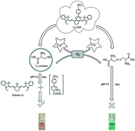 Graphical abstract: Colorimetric sensor for highly sensitive and selective detection of copper ion