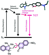 Graphical abstract: Structural implications on the excitation dynamics of fluorescent 3H-indolium cations
