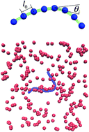 Graphical abstract: Elasticity-based polymer sorting in active fluids: a Brownian dynamics study