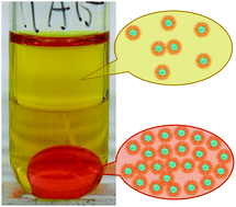 Graphical abstract: Structural insights into the multinuclear speciation of tetravalent cerium in the tri-n-butyl phosphate–n-dodecane solvent extraction system