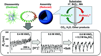 Graphical abstract: Effect of substrate concentrations on the aggregation behavior and dynamic oscillatory properties of self-oscillating block copolymers