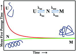 Graphical abstract: Estimating the mean first passage time of protein misfolding