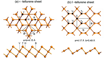 Graphical abstract: Effects of adatom and gas molecule adsorption on the physical properties of tellurene: a first principles investigation