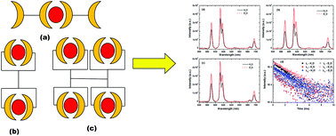 Graphical abstract: Unusual extraction of trivalent f-cations using diglycolamide dendrimers in a room temperature ionic liquid: extraction, spectroscopic and DFT studies