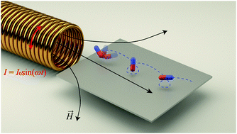 Graphical abstract: Manipulation of magnetic nanorod clusters in liquid by non-uniform alternating magnetic fields
