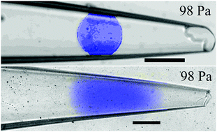 Graphical abstract: Generation and characterization of monodisperse deformable alginate and pNIPAM microparticles with a wide range of shear moduli