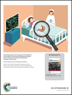 Graphical abstract: Inside back cover