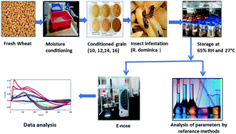 Graphical abstract: Sensor array optimization and determination of Rhyzopertha dominica infestation in wheat using hybrid neuro-fuzzy-assisted electronic nose analysis