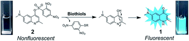 Graphical abstract: A novel fluorescent turn-on probe for imaging biothiols based on SNAr substitution-skeletal rearrangement strategy