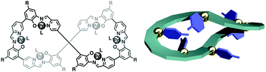 Graphical abstract: A twisted macrocyclic hexanuclear palladium complex with internal bulky coordinating ligands