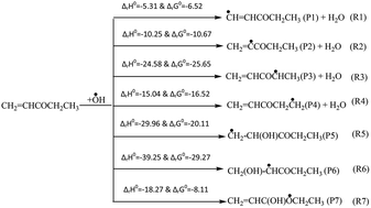 Graphical abstract: Quantum mechanical study on the oxidation of ethyl vinyl ketone initiated by an OH radical