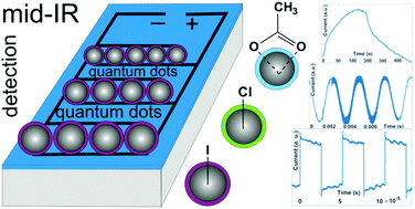 Graphical abstract: Trap engineering in solution processed PbSe quantum dots for high-speed MID-infrared photodetectors