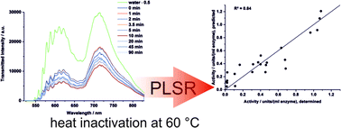 Graphical abstract: High-speed, inline measurement of protein activity and inactivation processes by supercontinuum attenuation spectroscopy