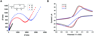 Graphical abstract: Bio-inspired construction of a semi-artificial enzyme complex for detecting histone acetyltransferases activity