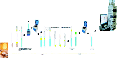 Graphical abstract: Monitoring of nine pesticides in different cereal flour samples with high performance liquid chromatography-diode array detection