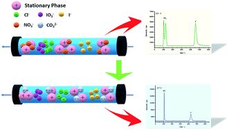 Graphical abstract: The speciation analysis of iodate and iodide in high salt brine by high performance liquid chromatography and inductively coupled plasma mass spectrometry